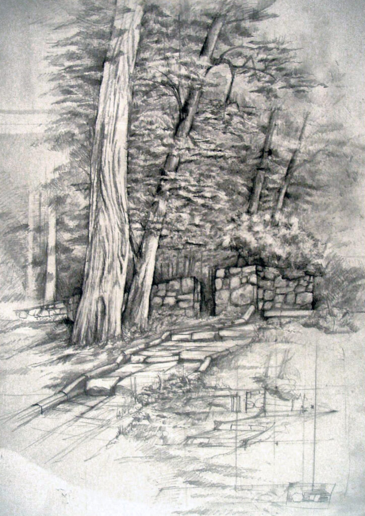 nauka rysunku studium natury podczas kursu Rysunku Architektonicznego KRA w Radlinie prowadzonego przez Marię Tkocz. . Praca autorska Marii Tkocz technika ołówkowa format 50x70cm